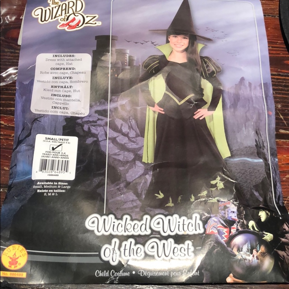 Halloween costume Wicked Witch of the West kids